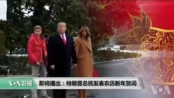 美国观察 2019年2月6日