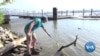 Floating Laboratory Monitors Potomac River Water Quality