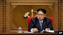 Pemimpin Korea Utara Kim Jong-un (Foto: dok).