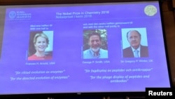 Pictures of the 2018 Nobel Prize laureates for chemistry: Frances H. Arnold of the United States, George P. Smith of the United States and Gregory P. Winter of Britain are displayed on a screen during the announcement at the Royal Swedish Academy of Scien