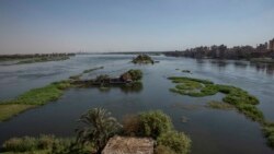 Human activity possess risk to River Nile’s ecosystem