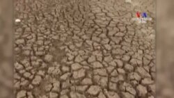 Թրամփի վարչակազմն ու գիտնականներն ունեն տարբեր մոտեցումներ կլիմայի փոփոխության հարցում