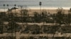 The Pacific Ocean is seen in the distance beyond palm trees and the charred remains of homes destroyed by the Palisades Fire in the Pacific Palisades neighborhood of Los Angeles, California, on January 13, 2025.