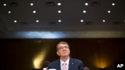 Menteri Pertahanan AS, Ash CArter, di Washington. (Foto; dok.)