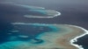 Australia Reef Is 'Saddest Research Trip of My Life' 