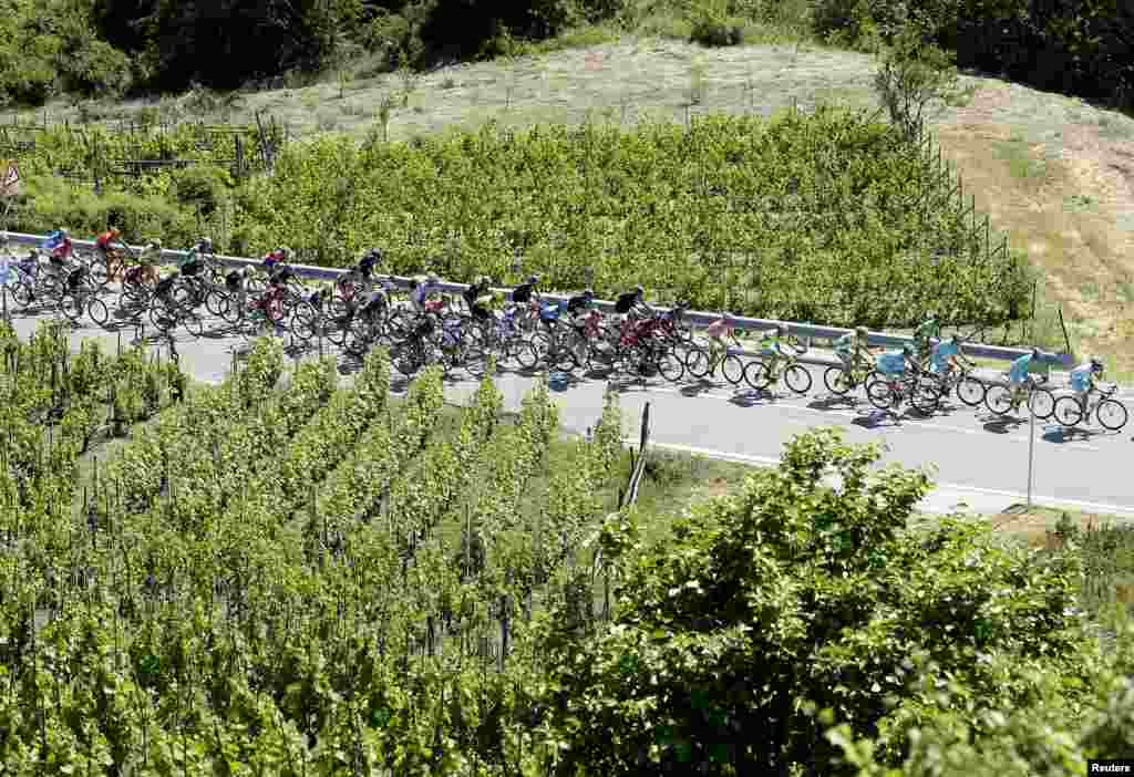 Bike riders climb during the 236 km 98th Giro d&#39;Italia (Tour of Italy) cycling race from Gravellona Toce to Cervinia, Italy.