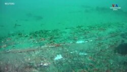 Ստորջրյա տեսանյութում երևում են Կալիֆոռնիայի նավթային խողովակաշարի ճաքերը