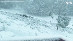 Australian Farmstead Blanketed by Snow in Polar Storm 