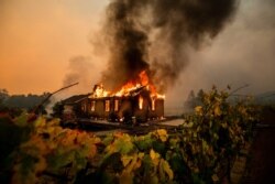 Vines surround a burning building as the Kincade Fire burns through the Jimtown community of unincorporated Sonoma County, California, Oct. 24, 2019.