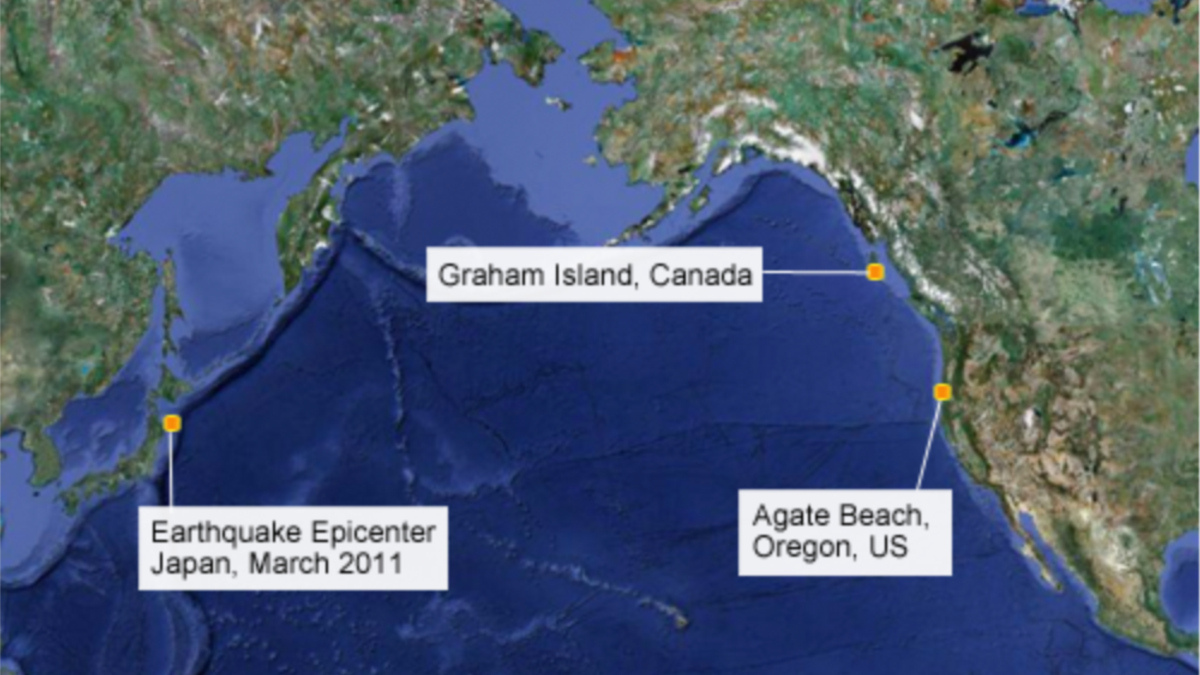 Japanese Tsunami Debris Arrives In Oregon