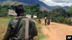 Soldat congolais en patrouille dans le sud-Kivu, le 10 novembre 2009.