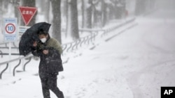 Seorang pria berjalan di tengah badai salju di Yokohama, Jepang, Sabtu 8 Februari 2014.