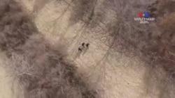 SHORT VIDEO: Սավառնակը գտավ հանցագործին