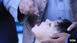 جریان کمپاین واکسیناسیون پولیو، مارچ ۲۰۲۲