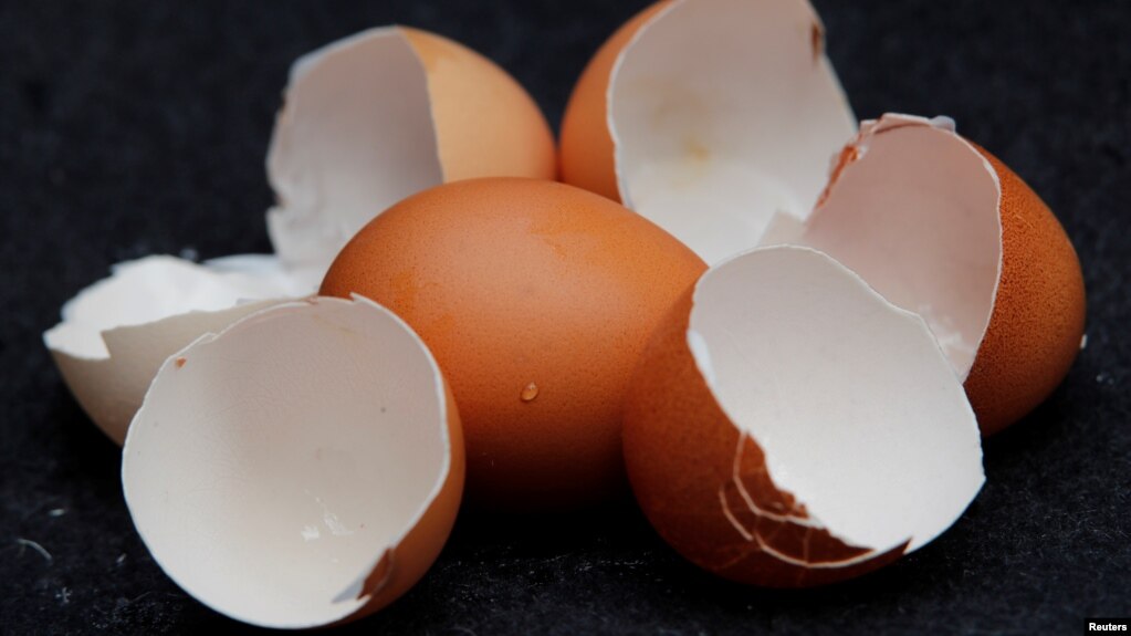 Illustration picture of eggs