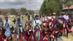 Sirna Awwaalchaa Obbo Bulchaa Dammaqsaarratti Firoonnii fi Waahiloonni Isaanii Maal Jedhan?