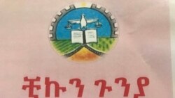 በድሬዳዋ ቺኩን ጉንያ የተባለ አዲስ ወረርሽኝ ተከሰተ