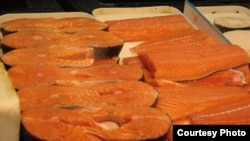Salmon merupakan sumber minyak ikan yang populer. 