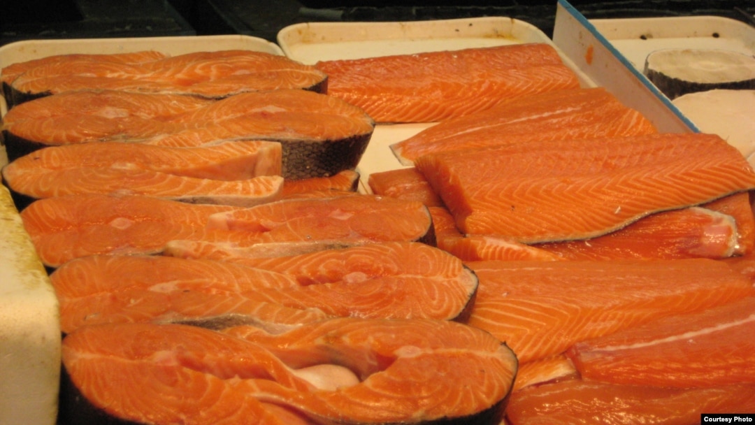 Salmon merupakan sumber minyak ikan yang populer. 