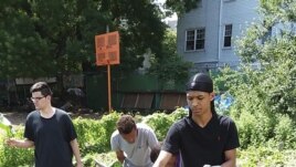 This photo provided by Raymond Figueroa, Jr. shows members of the community-based Alternatives-to-Incarceration (ATI) initiative at the Brook Park Youth Farm who are involved in growing food as well as the peppers for 