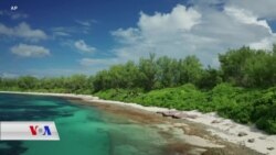 کاریگەری گۆڕانکاریـیەکانی ژینگە بەسەر ئاوەکانی دەوروبەری دورگەی سیشێل