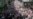 Thousands of Protesters March in Bangkok Against Amnesty Bill