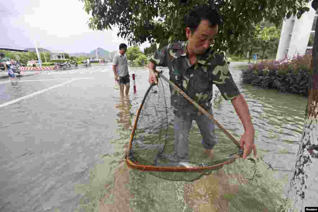 Một người đàn ông vớt cá tại một đường phố ngập lụt sau khi bão Haikui ập tới Đài Châu, thuộc tỉnh Chiết Giang, Trung Quốc ngày 8 tháng 8 năm 2012.