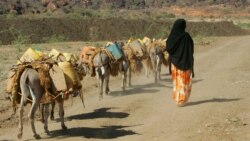Le Monde au Féminin