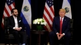 ARCHIVO - El presidente Donald Trump y el presidente Nayib Bukele de El Salvador en el hotel InterContinental Barclay New York, durante la Asamblea General de las Naciones Unidas, el miércoles 25 de septiembre de 2019, en Nueva York. 