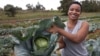 'Can You Dig It?' Africa Reality Show Draws Youth to Farming