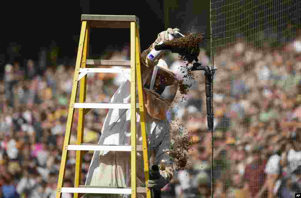 Trent Polcyn sprays a bee swarm on a microphone on the field which caused a delay during the third inning of a baseball game between the Miami Marlins and the San Diego Padres in San Diego, California, June 2, 2019.