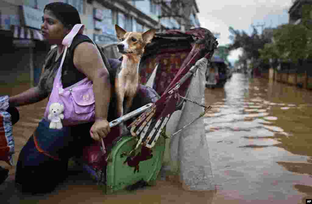 A woman and her dog ride in a rickshaw through floodwaters in Gauhati, India. Several people have been killed due to electrocution and landslides triggered by incessant rains in India&rsquo;s northeastern state of Assam. 