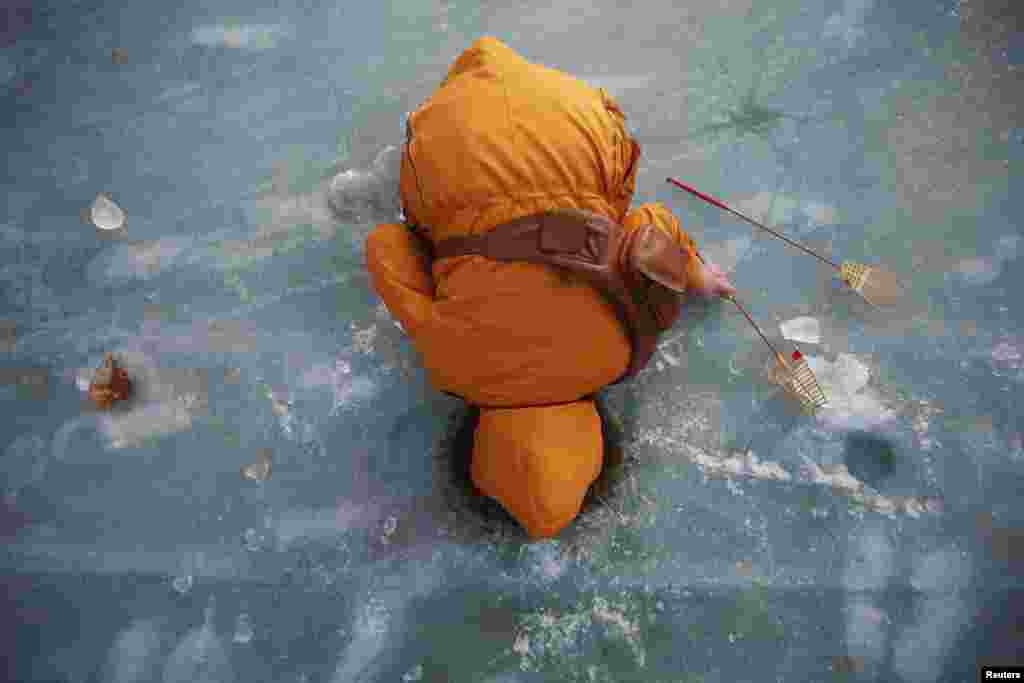 Một phụ nữ bắt cá hồi qua cái lỗ trong dòng sông đã đóng băng ở Hwacheon, Nam Triều Tiên. 4/1/14