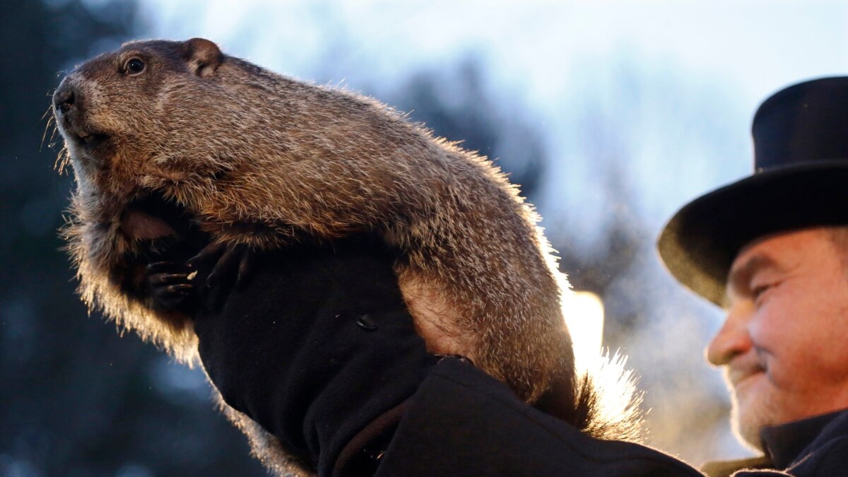 Famous US Groundhog Predicts 6 More Weeks of Winter