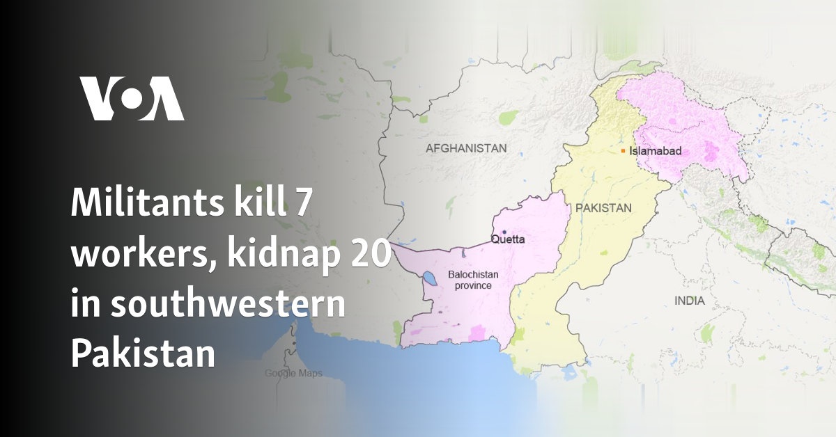 Militants kill 7 workers, kidnap 20 in southwestern Pakistan  