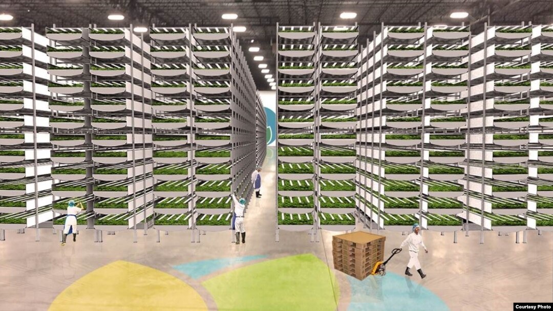 AeroFarms