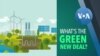 Explainer: What Is the Green New Deal?