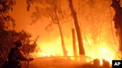 Un sapeur-pompier combat les flammes près d'un ranch à Santa Barbara, Californie (16 juin 2016)
