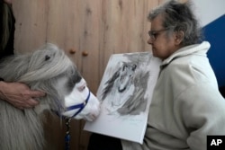 Homer, a miniature horse used for therapy programs, interacts with Stamatina, a resident of a psychiatric clinic for adults in Nea Makri, about 38 kilometres (60m miles) east of Athens, Greece, on Friday, Nov. 15, 2024. (AP Photo/Thanassis Stavrakis)