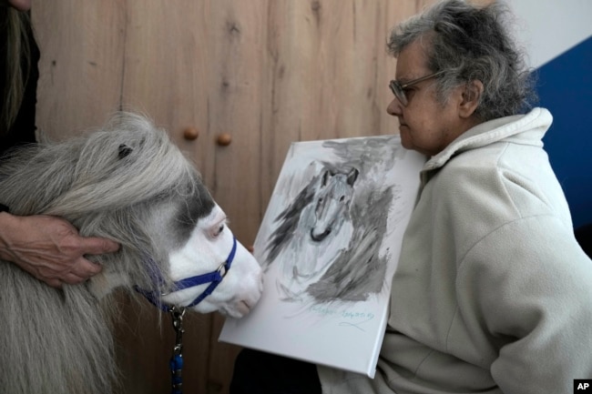 Homer, a miniature horse used for therapy programs, interacts with Stamatina, a resident of a psychiatric clinic for adults in Nea Makri, about 38 kilometres (60m miles) east of Athens, Greece, on Friday, Nov. 15, 2024. (AP Photo/Thanassis Stavrakis)