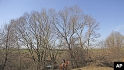 American cowboys ride in a ranch in southern Russia