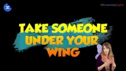 «Английский за минуту» - Take Someone Under Your Wing - Взять под крыло, опекать