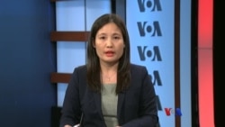 နေ့စဉ်တီဗွီသတင်းလွှာ ၀၆. ၁၉. ၂၀၁၇