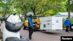 Dua panda raksasa yang dikirim dari Pusat Penangkaran Panda Chengdu, China tiba di Kebun Binatang Nasional Smithsonian di Washington, DC, AS, Selasa 15 Oktober 2024.