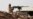 7 Saudis Killed in Border City Hit by Artillery Fire from Yemen