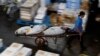 Tokyo Fishmongers Mourn and Protest Closure of Famous Fish Market