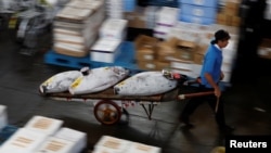 A wholesaler pulls a cart of frozen tuna fish at the Tsukiji fish market in Tokyo, Japan, Sept. 29, 2018.