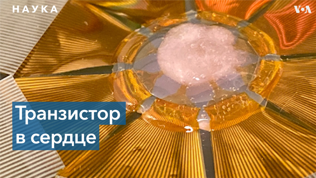 Чип размером с клетку тканей органов