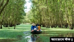 Nhiều khách quốc tế ca ngợi phong cảnh đẹp của Việt Nam nhưng phàn nàn về dịch vụ, vệ sinh và một số vấn đề khác.