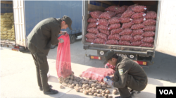 Uzbek customs officers inspect potato from Pakistan, Termez Cargo Center, Surkhandarya, Uzbekistan, Nov. 2, 2021.